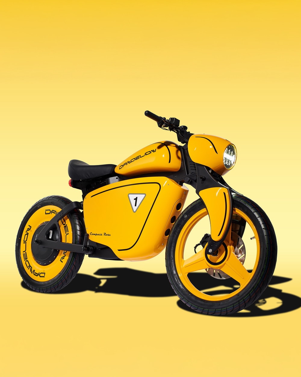 Compass Rose Dandelion