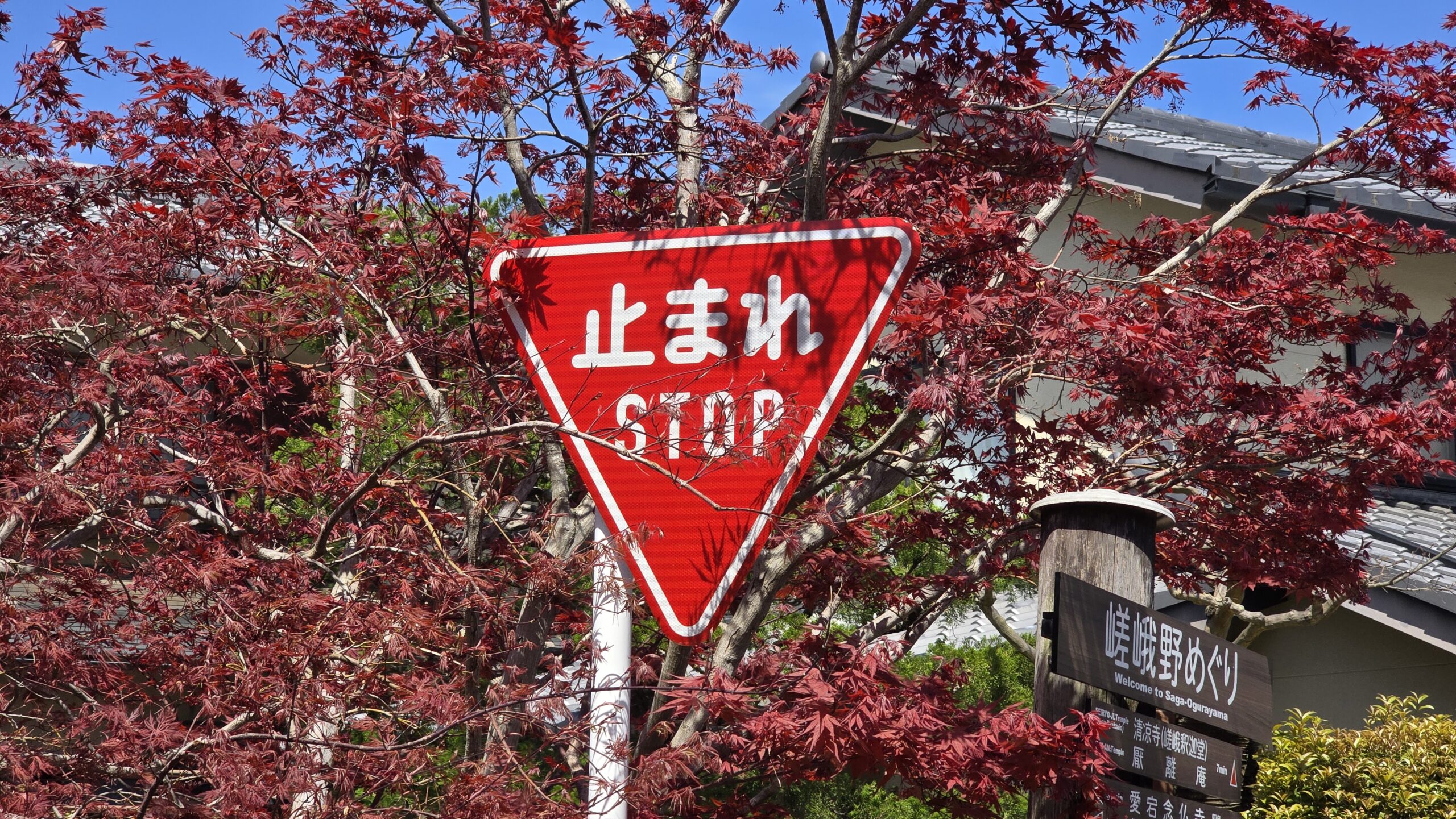 Stop sign in Japan